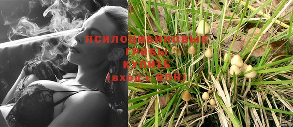 прущая мука Зеленокумск